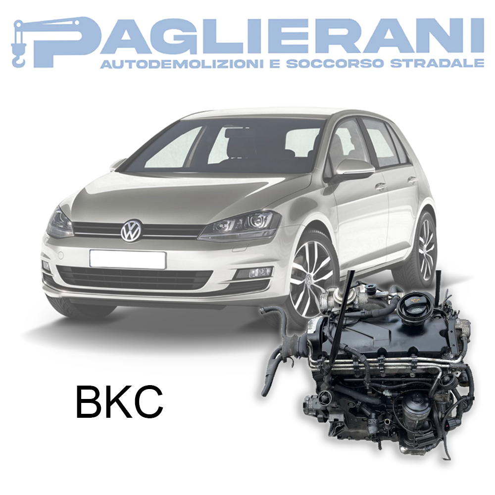 Motore BKC Volkswagen Golf Mk5 2003-2008 1900 [1.9] TDI Diesel 77KW 105CV 150.000 KM