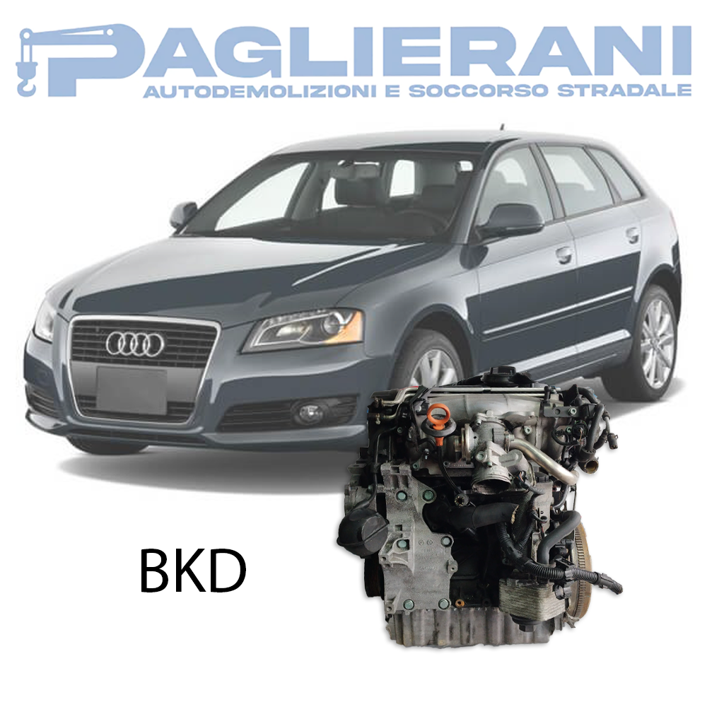 Engine BKD Audi A3 2003-2013 Diesel 2000 [2.0] Euro4 103KW 140HP 180.000 KM